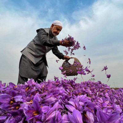 Saffron