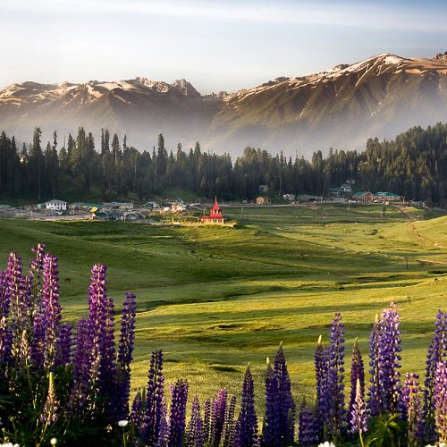 gulmarg-meadows-srinagar-tri-iter-day1
